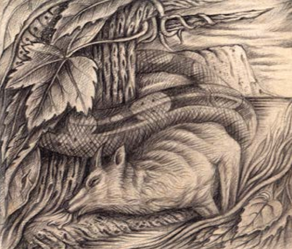 IL SERPENTE E LA LUPA DI IVAN BATTISTA